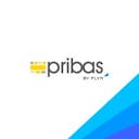 pribas Turkey Ltd. (a FLYR Labs company) Logo